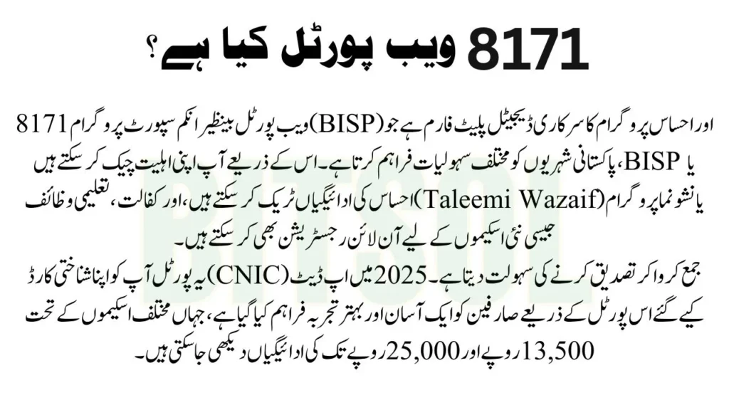 What is the 8171 Web Portal